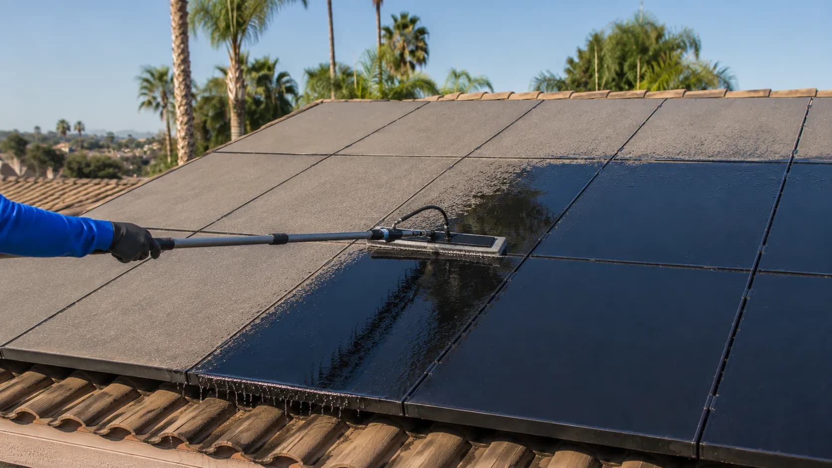 Solar Panel Cleaning